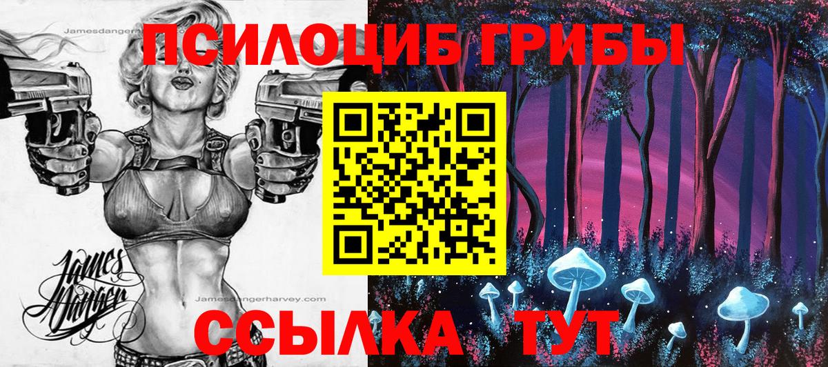 Галлюциногенные грибы Magic Shrooms  Вход с VPN  Галлюциногенные грибы Psilocybine cubensis  Сосновоборск 